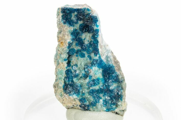 Vibrant Blue Veszelyite Cluster on Hemimorphite - Congo #312404